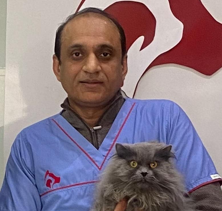 Rehan Mehmood