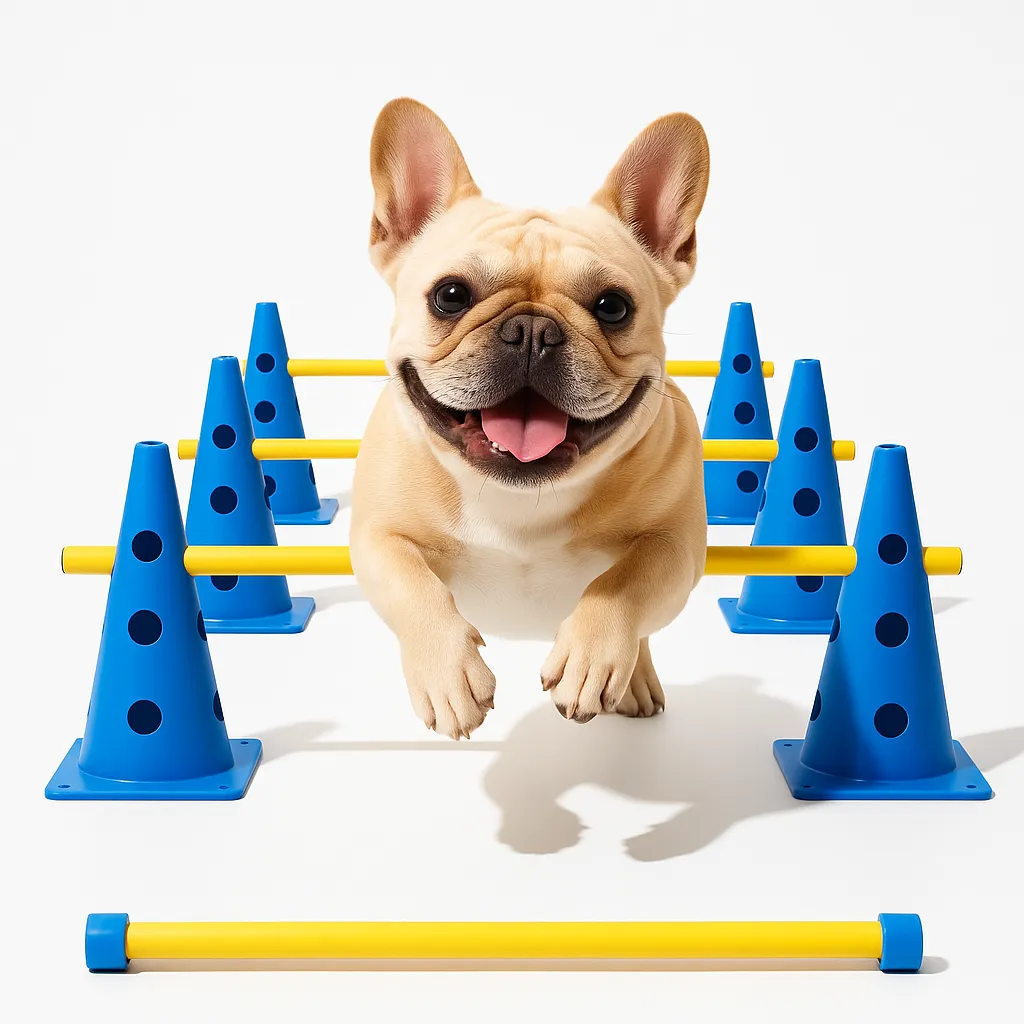 French Bulldog mid-jump over a yellow hurdle between rows of blue cones, dog agility training set on a white background.