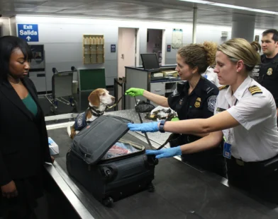 Customs officers with a detection dog inspecting a traveler’s carry-on bag at an airport checkpoint